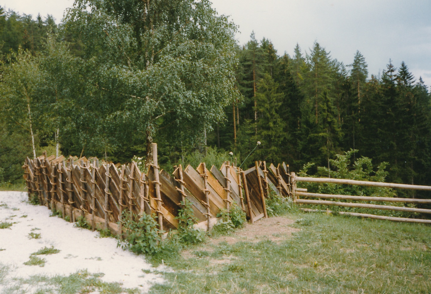 eika image